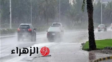 تحذير جوي.. الأرصاد تكشف خريطة سقوط الأمطار والرياح غدًا والمناطق المتأثرة 1